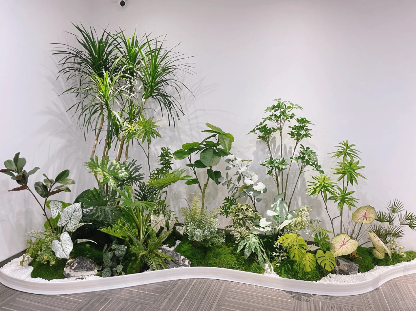 余姚植物出租哪家强？服务好的这家别错过！